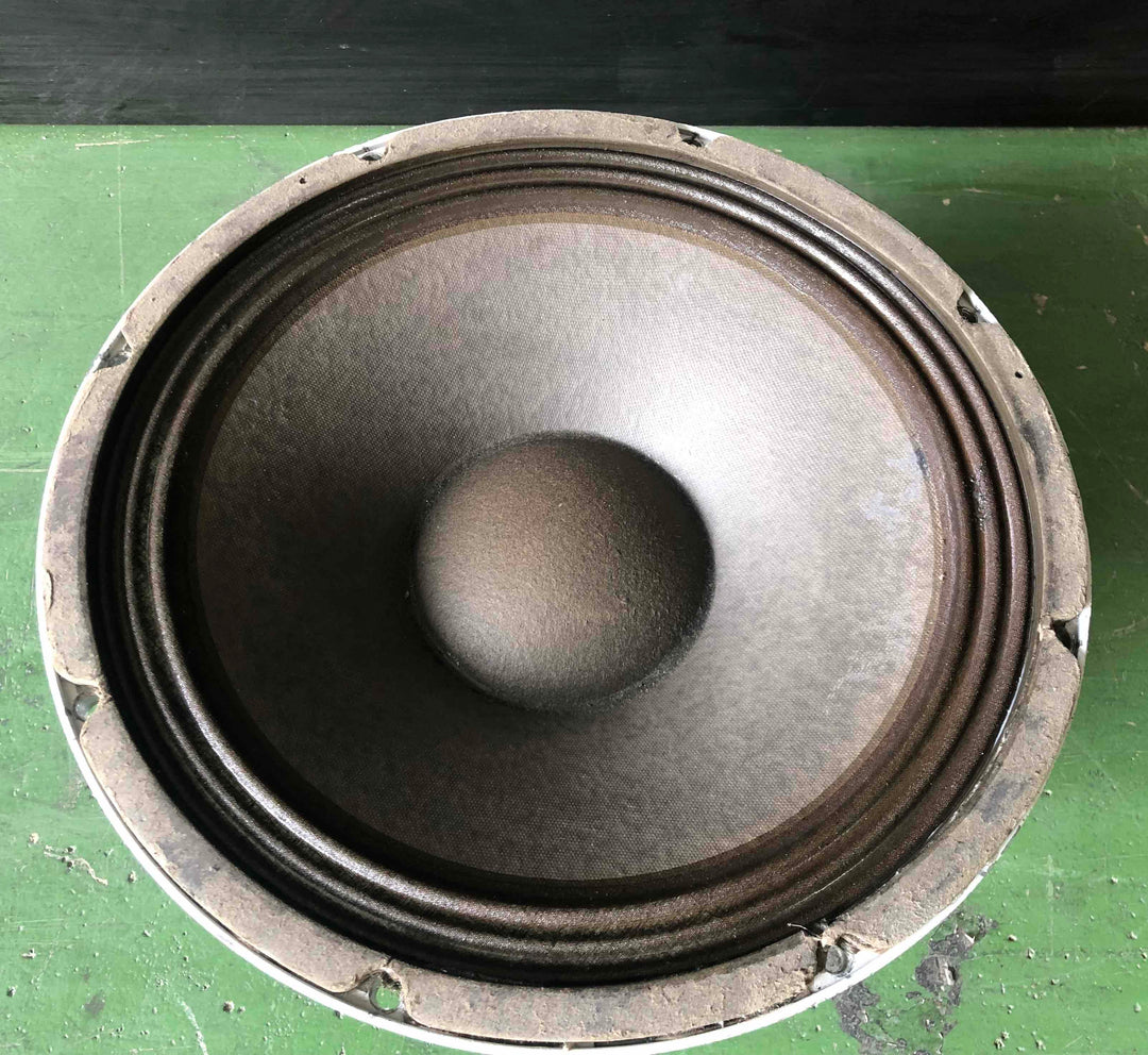 EV SRO 12L 8Ω Guitar Speaker